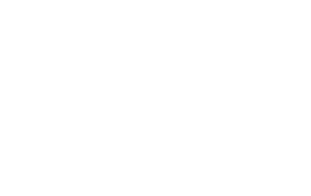 FIB